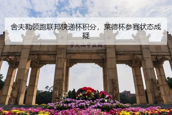she-fu-lei-ling-pao-lian-bang-kuai-di-bei-ji-fen-lai-de-bei-can-sai-zhuang-tai-cheng-yi-3-528.jpg