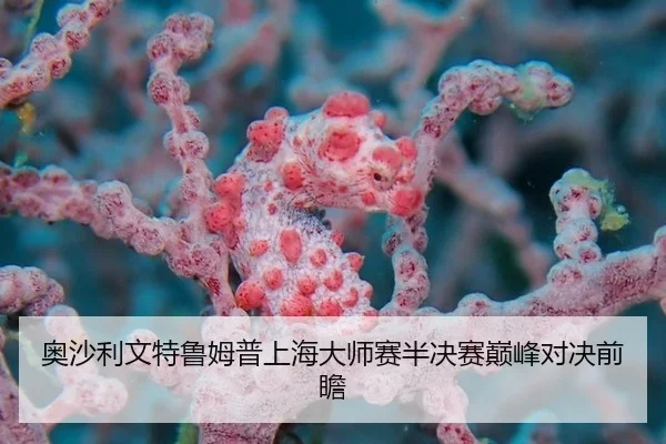 奥沙利文特鲁姆普上海大师赛半决赛巅峰对决前瞻