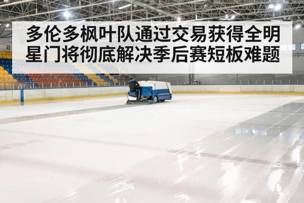 ice hockey arena